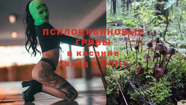 а пвп мука Бородино