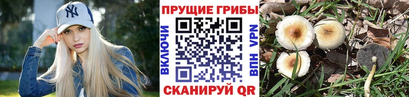 Галлюциногенные грибы ЛСД  Джанкой 